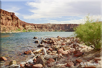 Colorado River flussabwärts